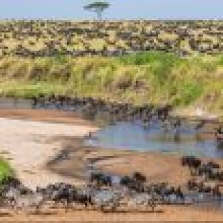 Image pour Atalante - Safari et randonnée en Tanzanie