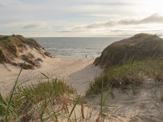 Image pour Danemark