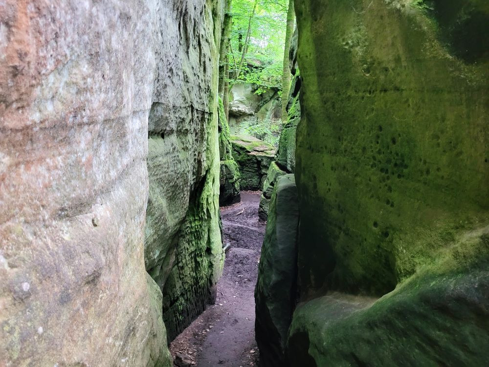 Labyrinthe au Mullerthal