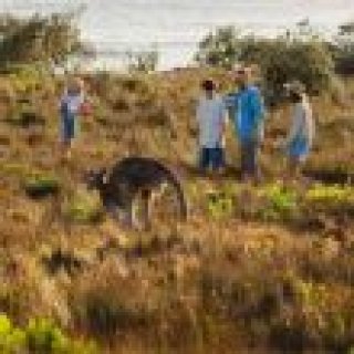 Image pour Evaneos - Circuits en Australie