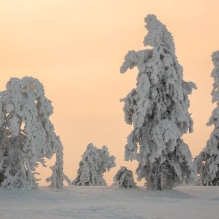 Image pour Riisitunturi