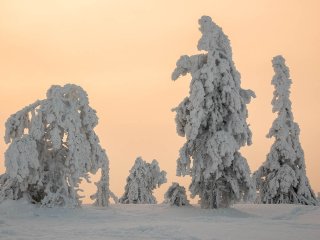Image pour Riisitunturi