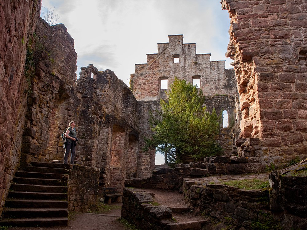 Ruine de Zavelstein