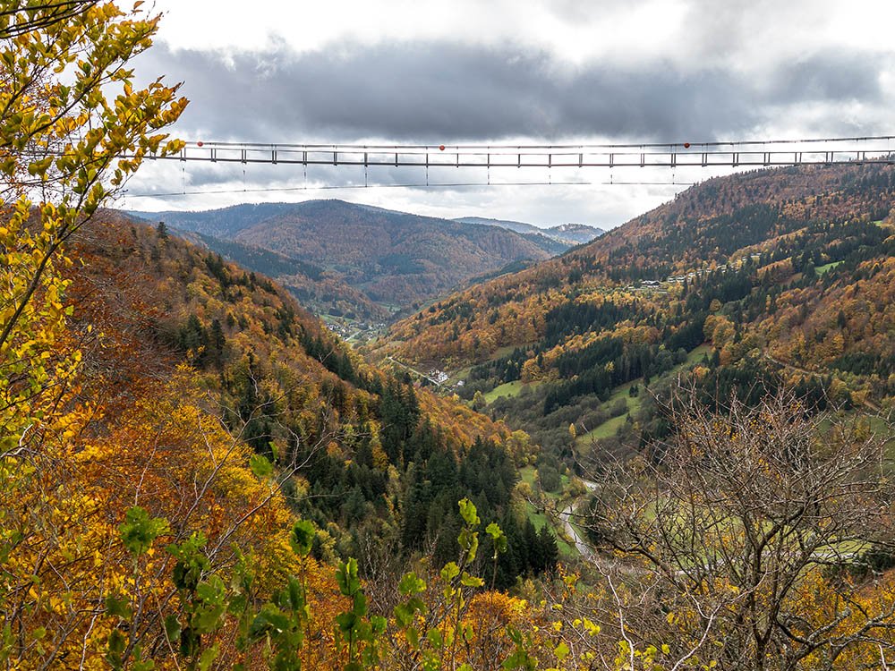 Todtnauberg