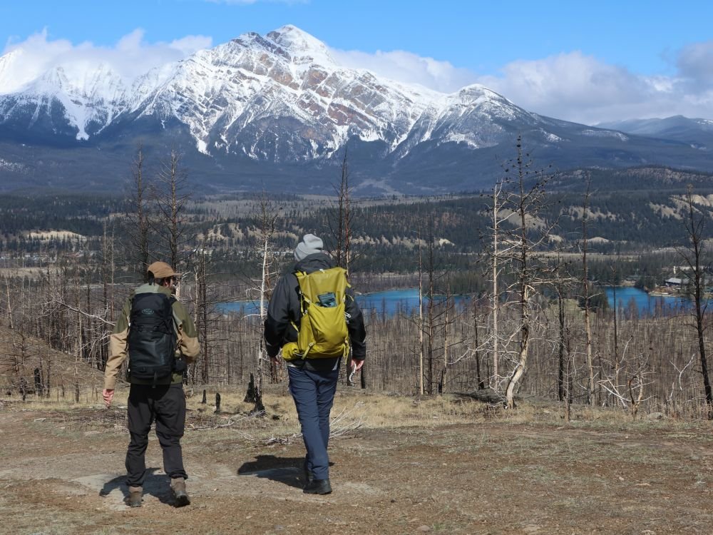 Actif à Jasper