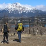 Image pour Actif dans le parc national de Jasper