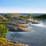Image pour Nature à Stockholm