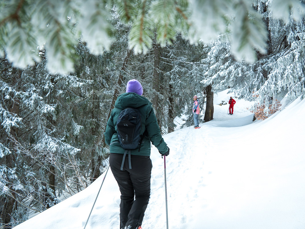 Se promener dans la neige