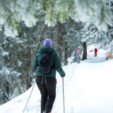 Image pour L’hiver à Avoriaz