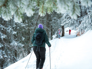 Image pour L’hiver à Avoriaz