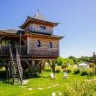 Image pour Glampings - Cabanes dans les arbres