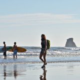 Image pour Activités au Pays basque français