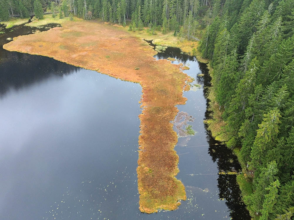 Îles flottantes sur le lac Grote Arbersee