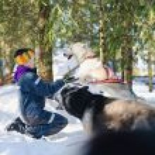 Image pour Atalante - Activités hivernales en Suéde
