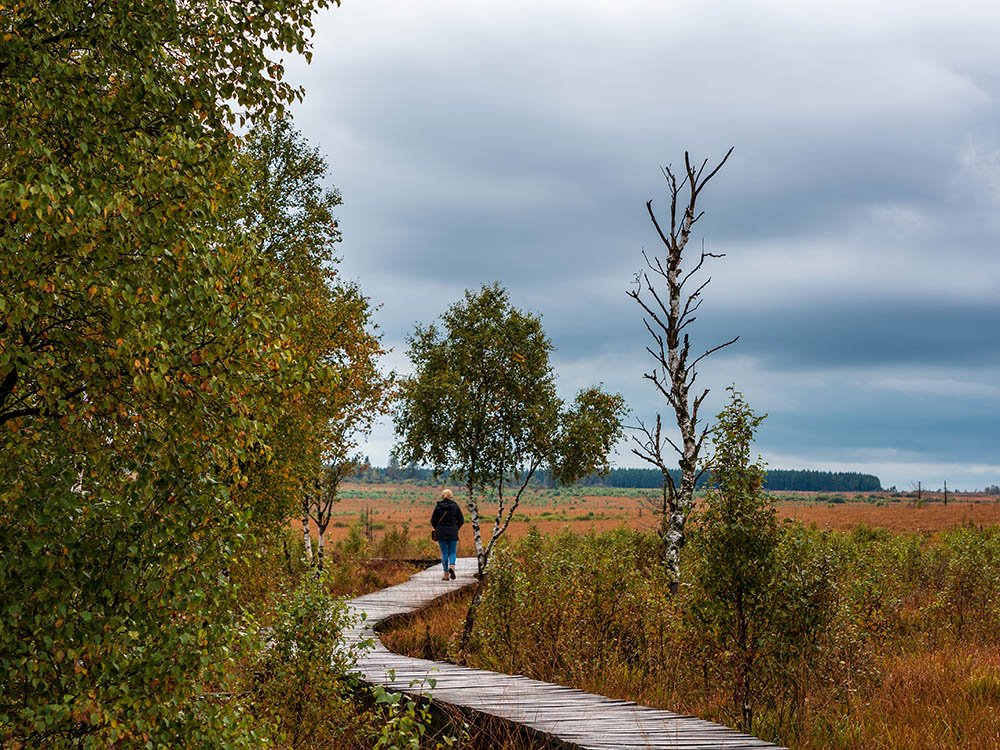 Promenade