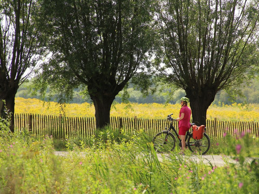 Faire du vélo au printemps