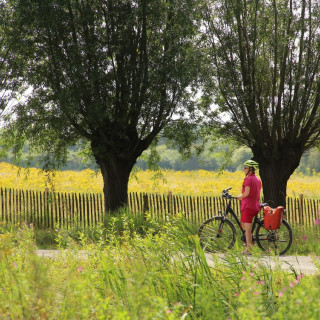 Image pour Vélo en Belgique
