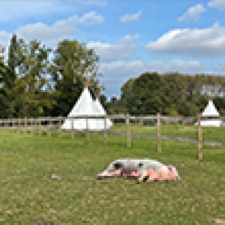 Image pour Booking.com - Tipi à la ferme