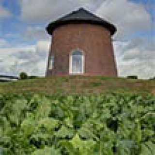 Image pour Torentje van Trips