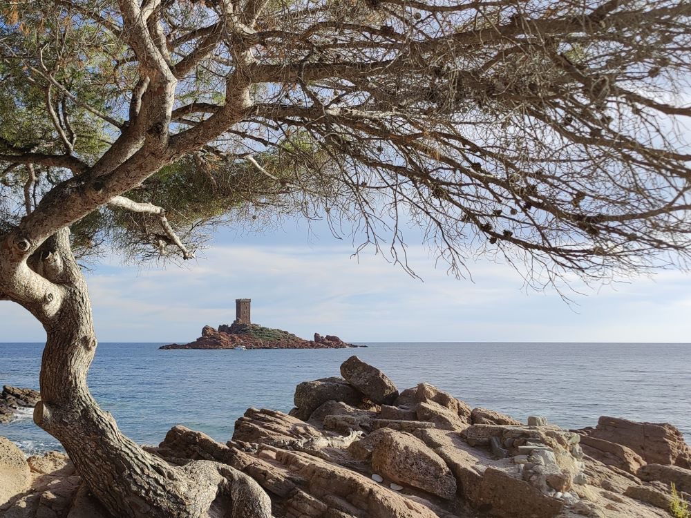 L'île d'Or vue depuis la côte
