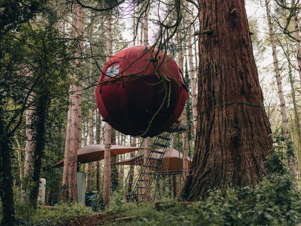 Glamping au milieu des arbres