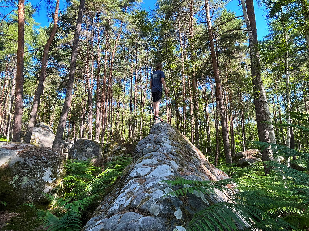 Actif à Fontainebleau