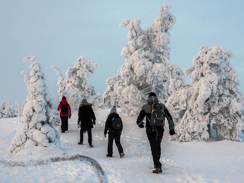 Randonnée entre les arbres pop-corn
