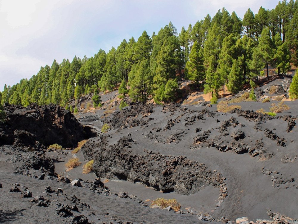 Séjour de randonnée à La Palma