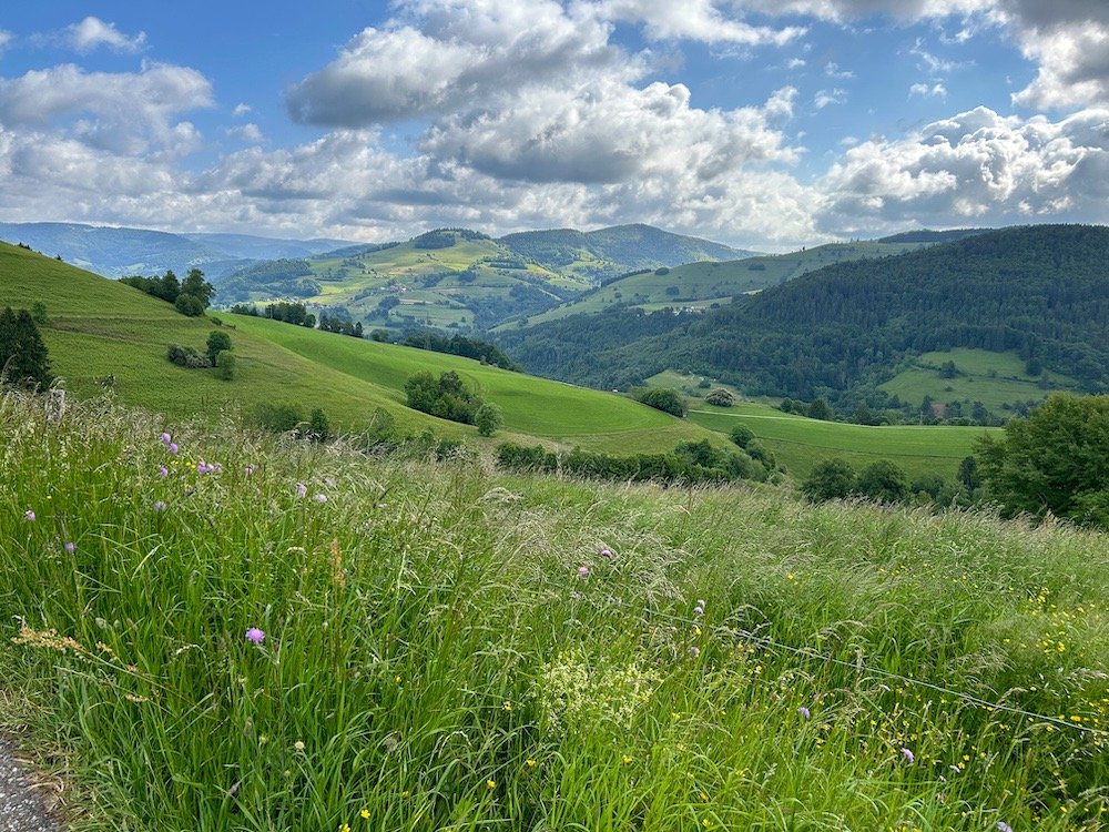 Vue idyllique