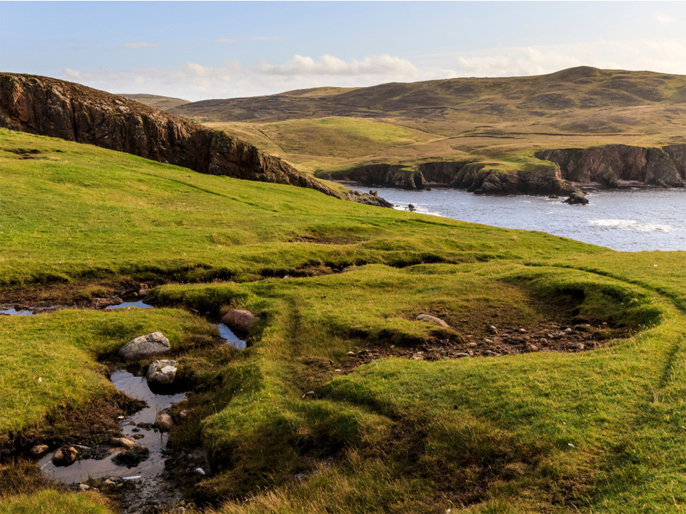 Shetland