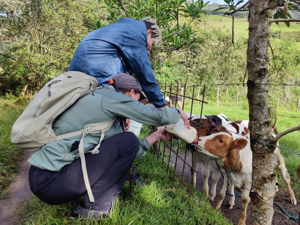 Aider à nourrir les animaux