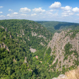 Image pour Le Harz