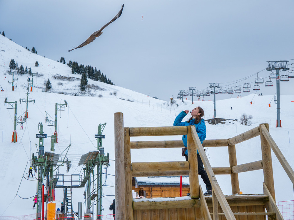 Skier en compagnie des rapaces