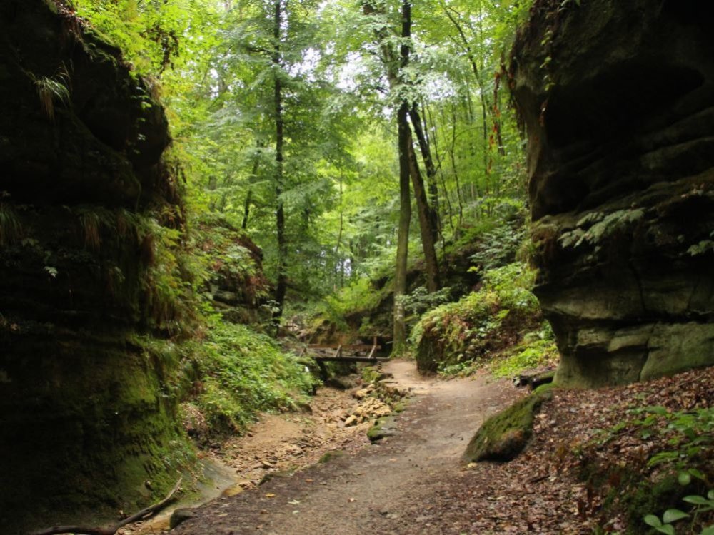 Canyons