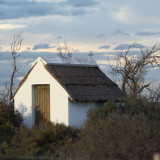 Image pour La Camargue