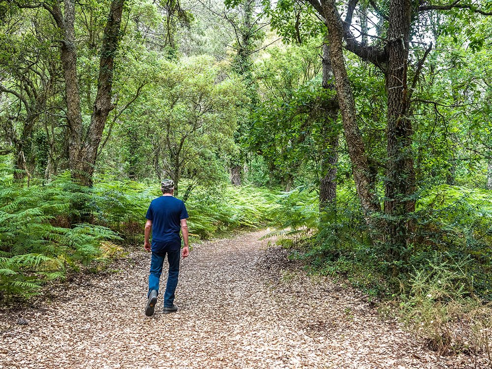 Randonnées dans les Landes
