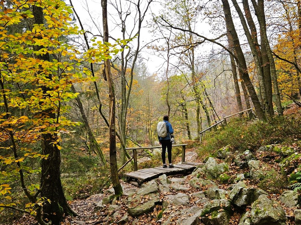 Randonner en Ardenne
