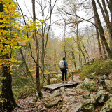 Image pour Randonnée dans les Ardennes