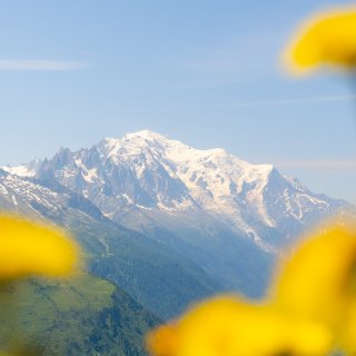Image pour Mont Blanc