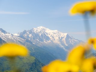 Image pour Mont Blanc