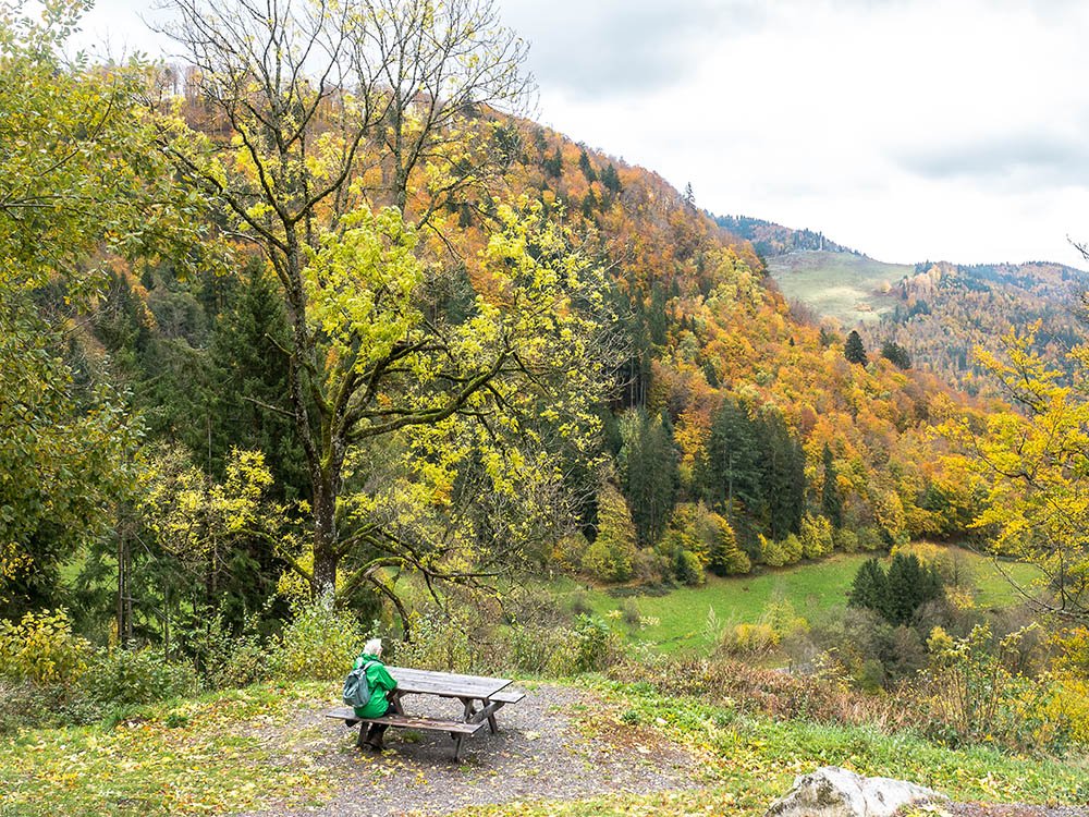 Todtnauberg