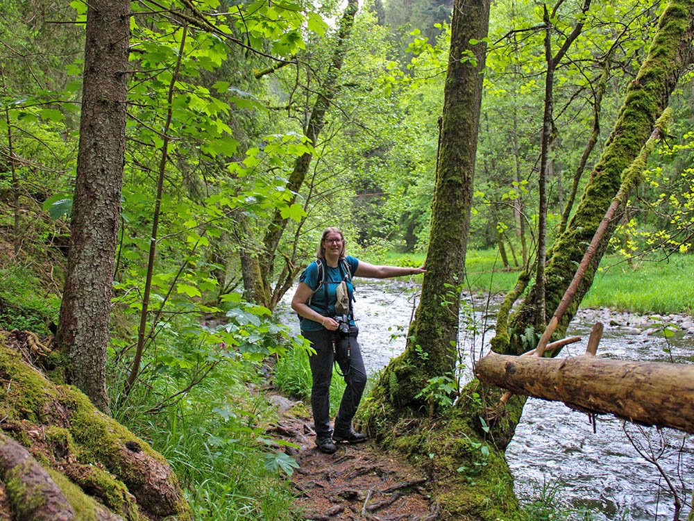 Balade le long de la rivière