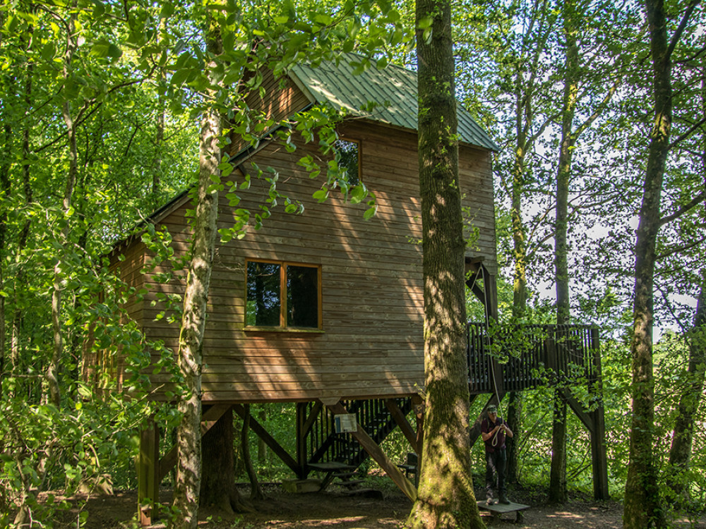 Cabane dans les arbres