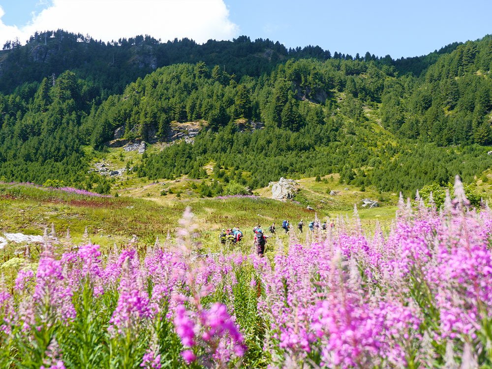 Les montagnes du Monténégro