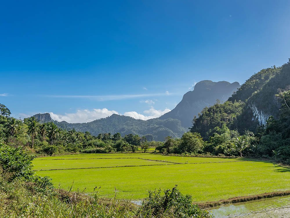 Voyages engagés aux Philippines