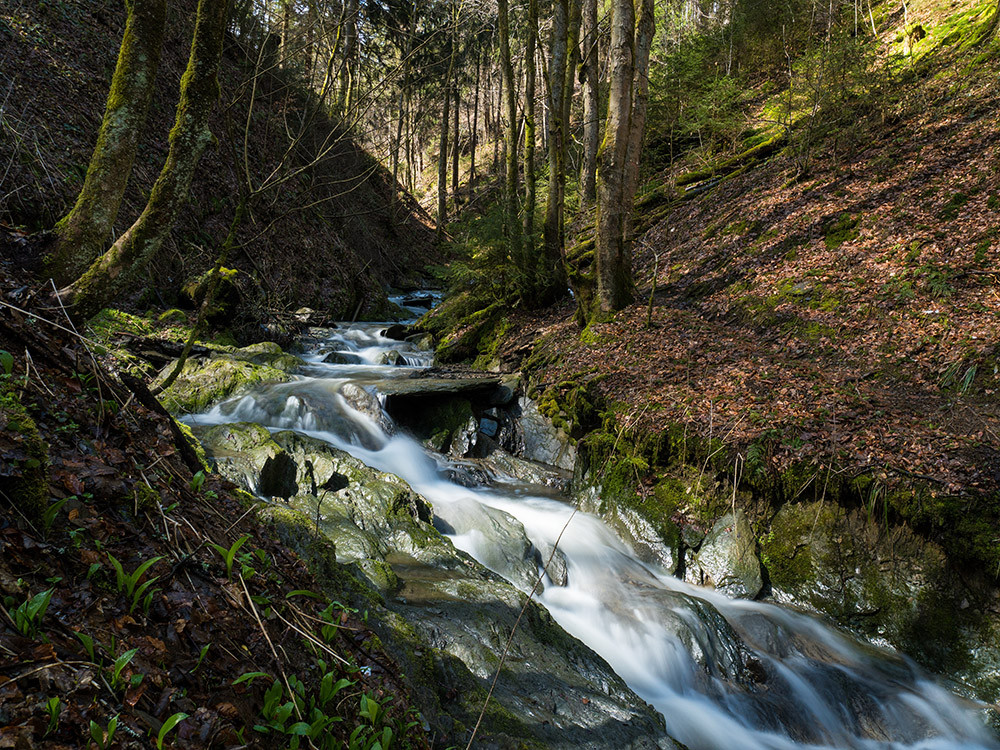 Gorge de Winterberg