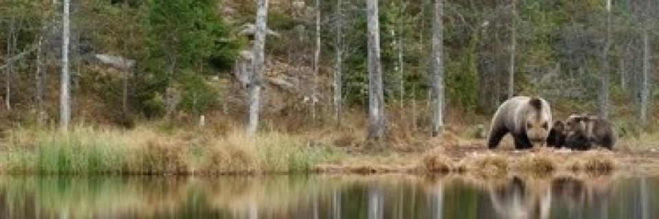 Top foto voor Top 10 de beaux sites naturels