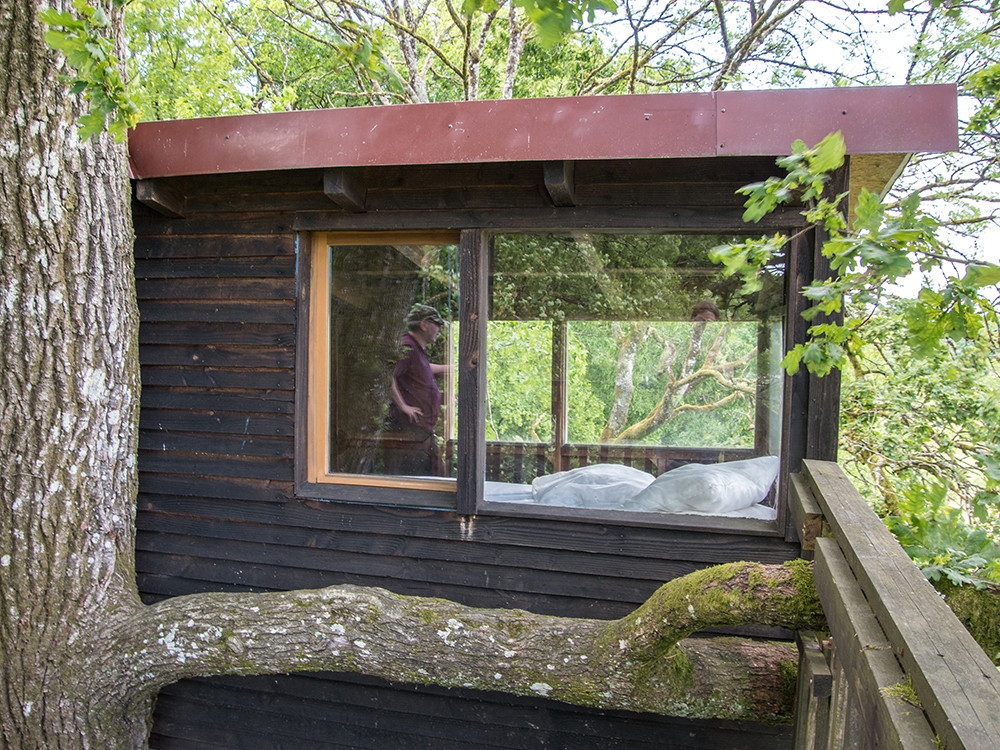 Habitation arboricole