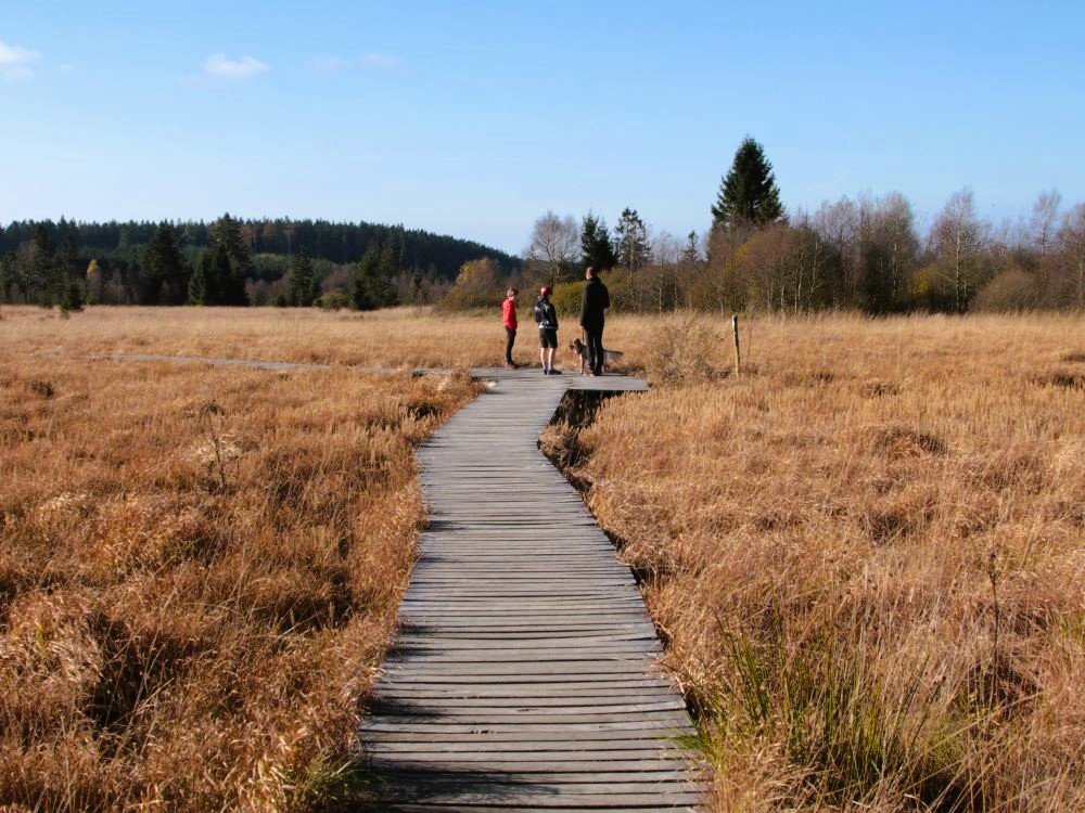 Les Hautes Fagnes