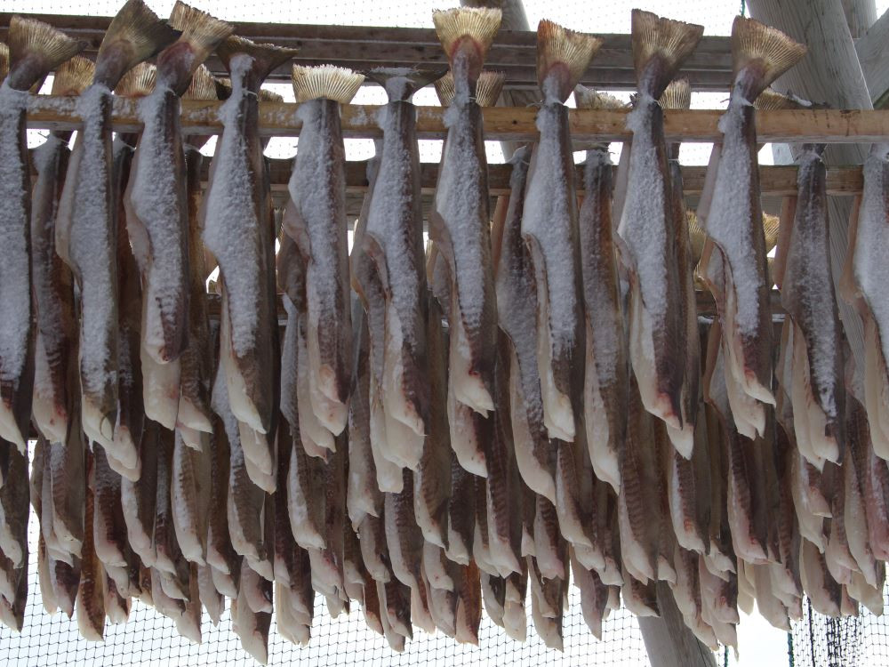 Morues séchées